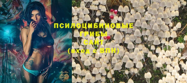 амф Белокуриха